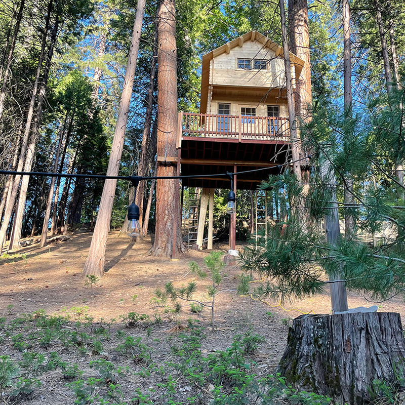 WhatsApp-Image-2026-03-27-at-05.16.45-(8) 1 (1) 1 (7)