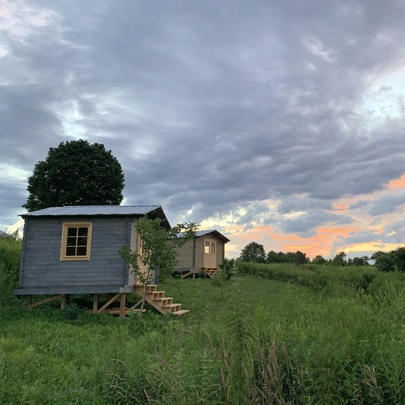 Choose your cabin design